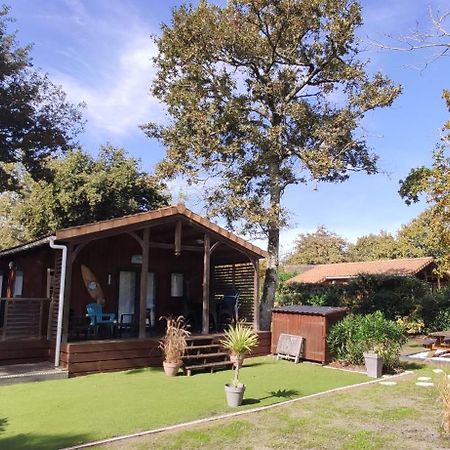 Chalet Prestige Au Coeur Du Bassin D'Arcachon La Teste-de-Buch Exteriör bild